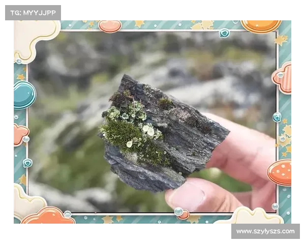 揭开永歌森林的神秘面纱 探秘五大自然奇观揭秘森林深处的奇异之美 揭开永歌森林的神秘面纱 探秘五大自然奇观揭秘森林深处的奇异之美