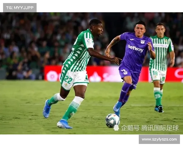 埃弗拉球场风格与技术特点深度解析全面展现边路活力与攻防平衡