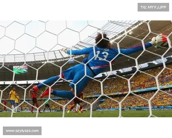 德国巴西世界杯决赛精彩瞬间回顾激情四射的巅峰对决 德国巴西世界杯决赛精彩瞬间回顾激情四射的巅峰对决