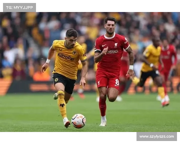 成都蓉城签约塞尔维亚超强边锋的五大关键因素解析